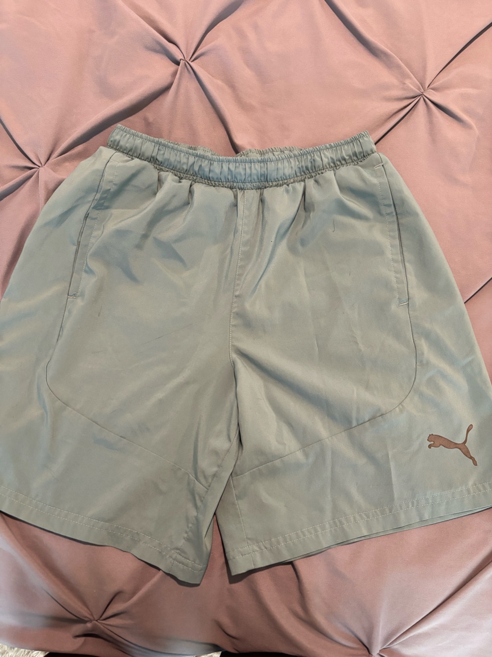 Puma Men's Light Green Athletic Shorts